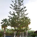 Villa Akrata