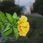 Villa Akrata