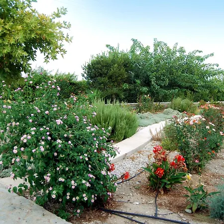 Villa Akrata Holiday home Akrata