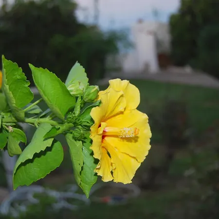 Villa Akrata